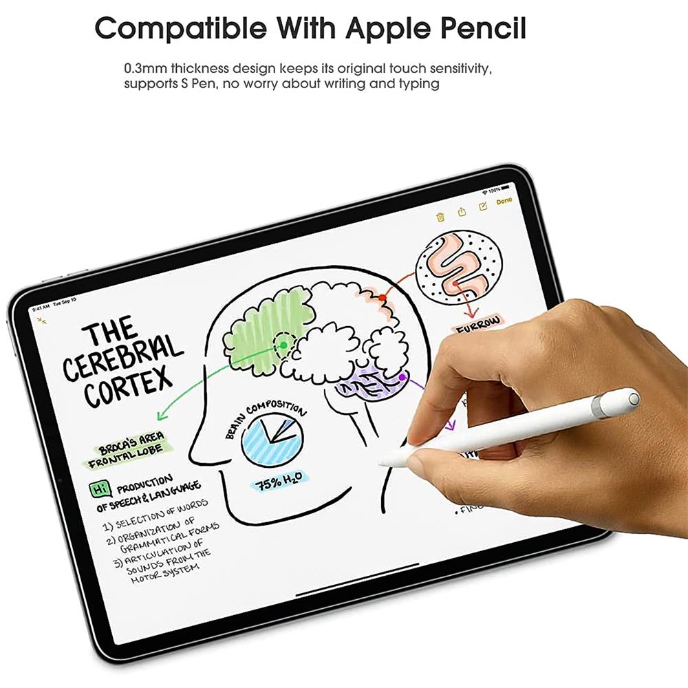 Glasfolie für Apple iPad Mini 6
